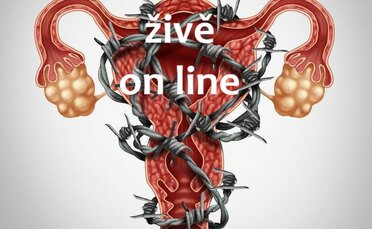 Přednáška: Hormonální zdraví a chronické záněty ŽIVĚ online Přednáška: Hormonální zdraví a chronické záněty ŽIVĚ online