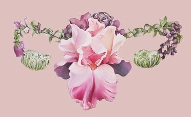 Obnova ženského lůna - úplňková meditace a probuzení ženské energie s rituálem bylinné napářky Obnova ženského lůna - úplňková meditace a probuzení ženské energie s rituálem bylinné napářky